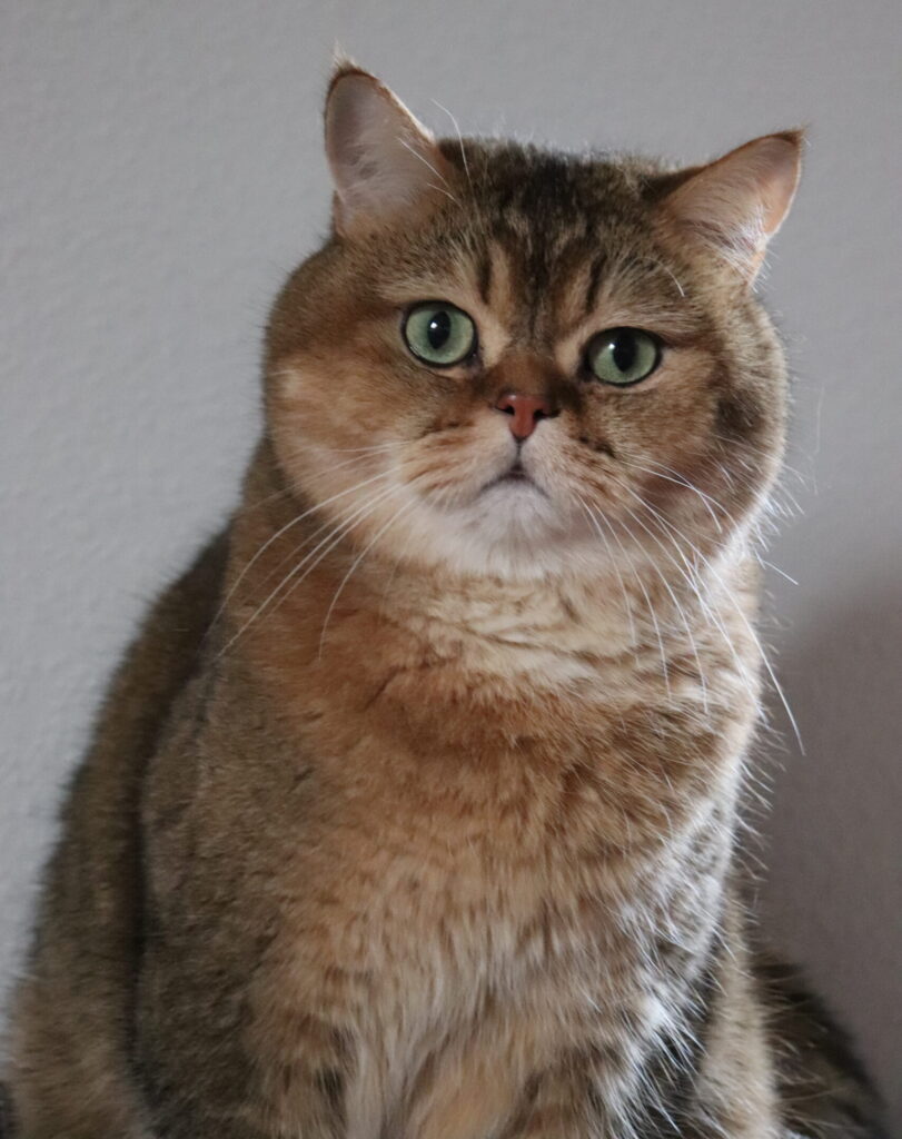 IMG 4721 1 scaled e1744881248862