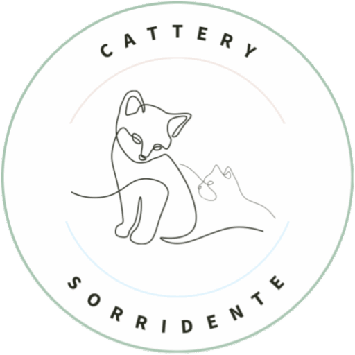 cropped Logo zwart kat met tekst