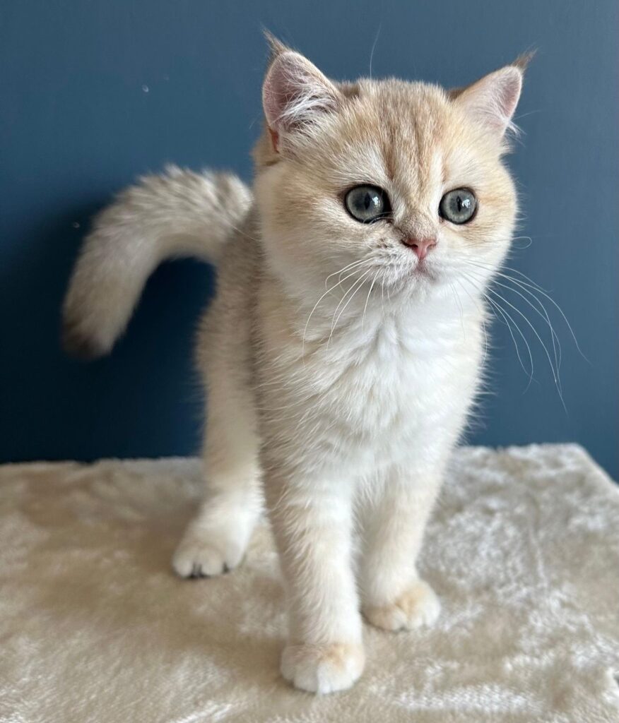 ff05d0cb 45c7 429f b8be abb088b3d2dc 1 e1752081022681